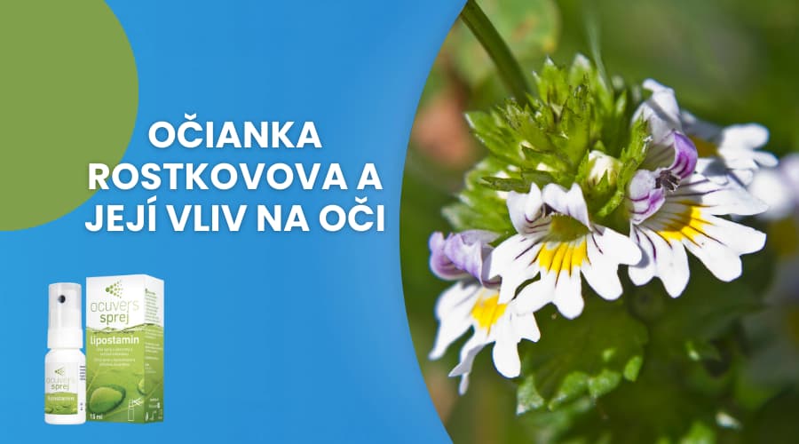 Očianka Rostkovova a jej vplyv na oči
